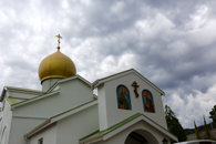 Рождественская Елка. 2013